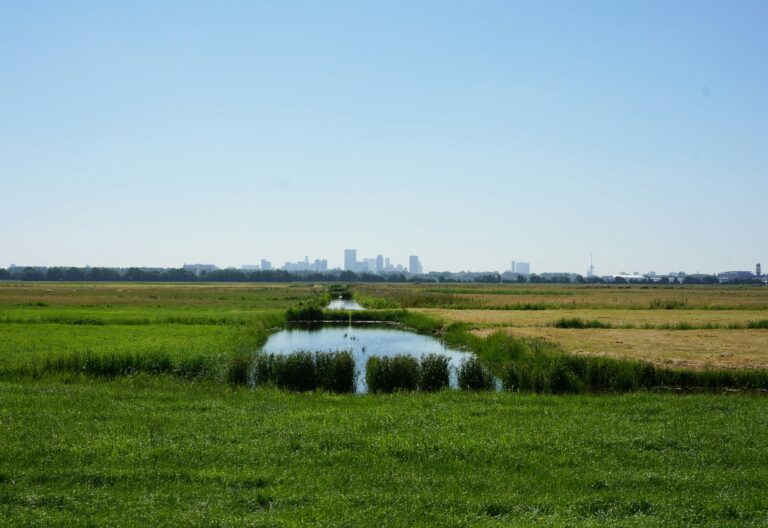 Sfeerfoto polder ivm huizenprijzen